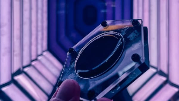 Photon Smasher Southend Arcade