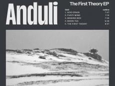 Anduli - The First Theory EP