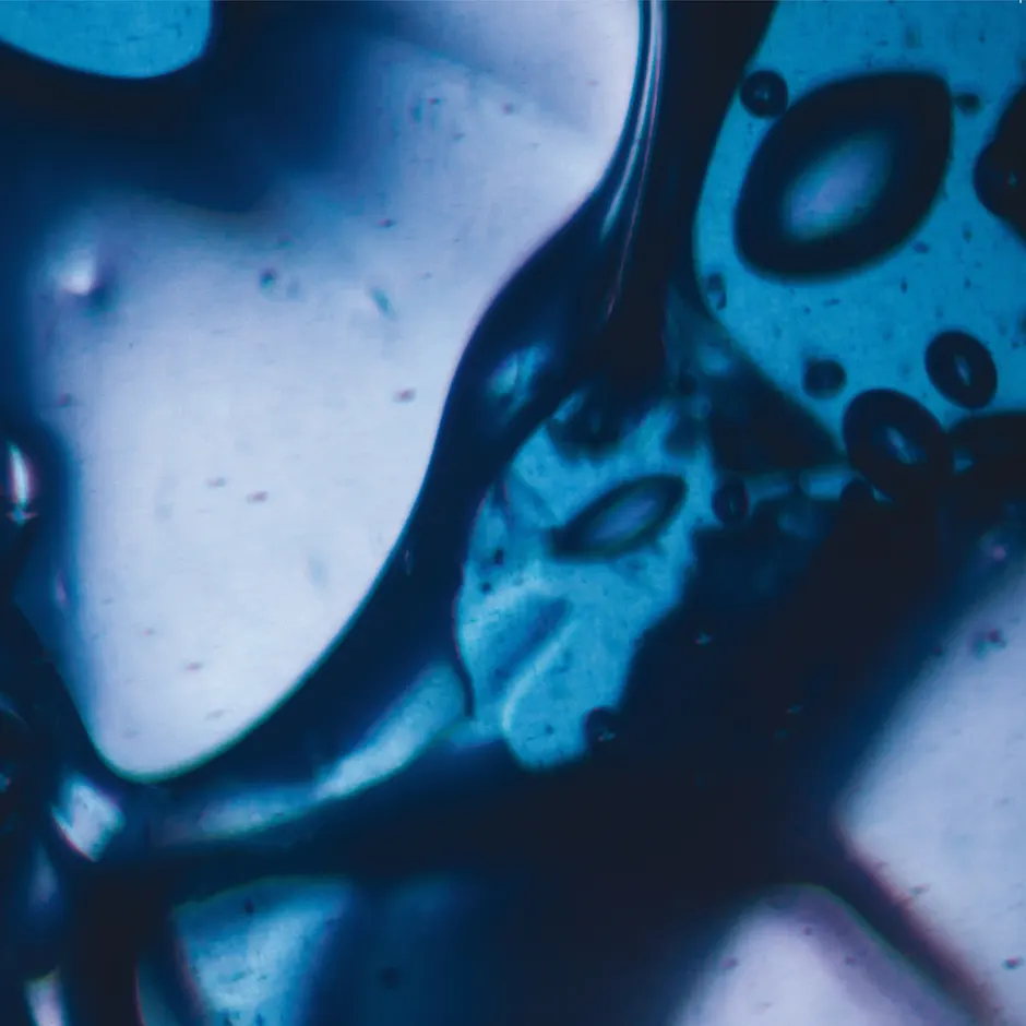 EB Premiere: Abdulla Rashim – <i>Unanimity</i>