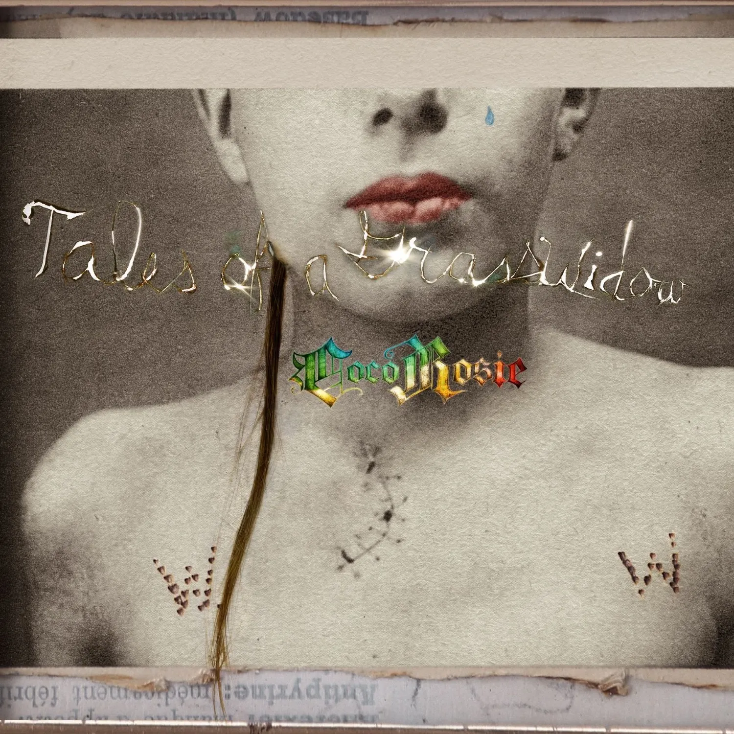 Ima Read: Daniel Jones recommends CocoRosie’s <i>Tales of a Grass Widow</i>