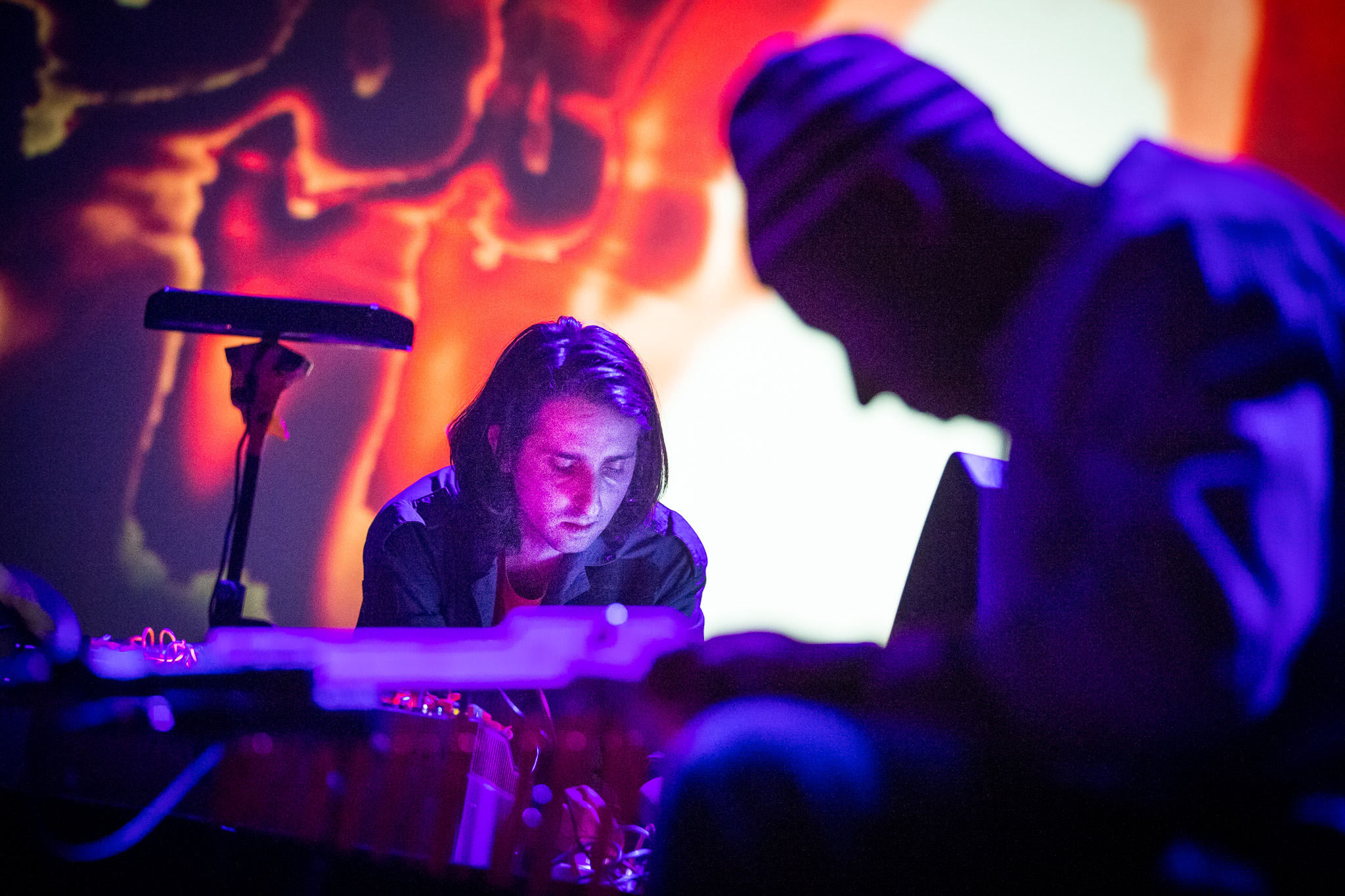 James Holden & The Animal Spirits