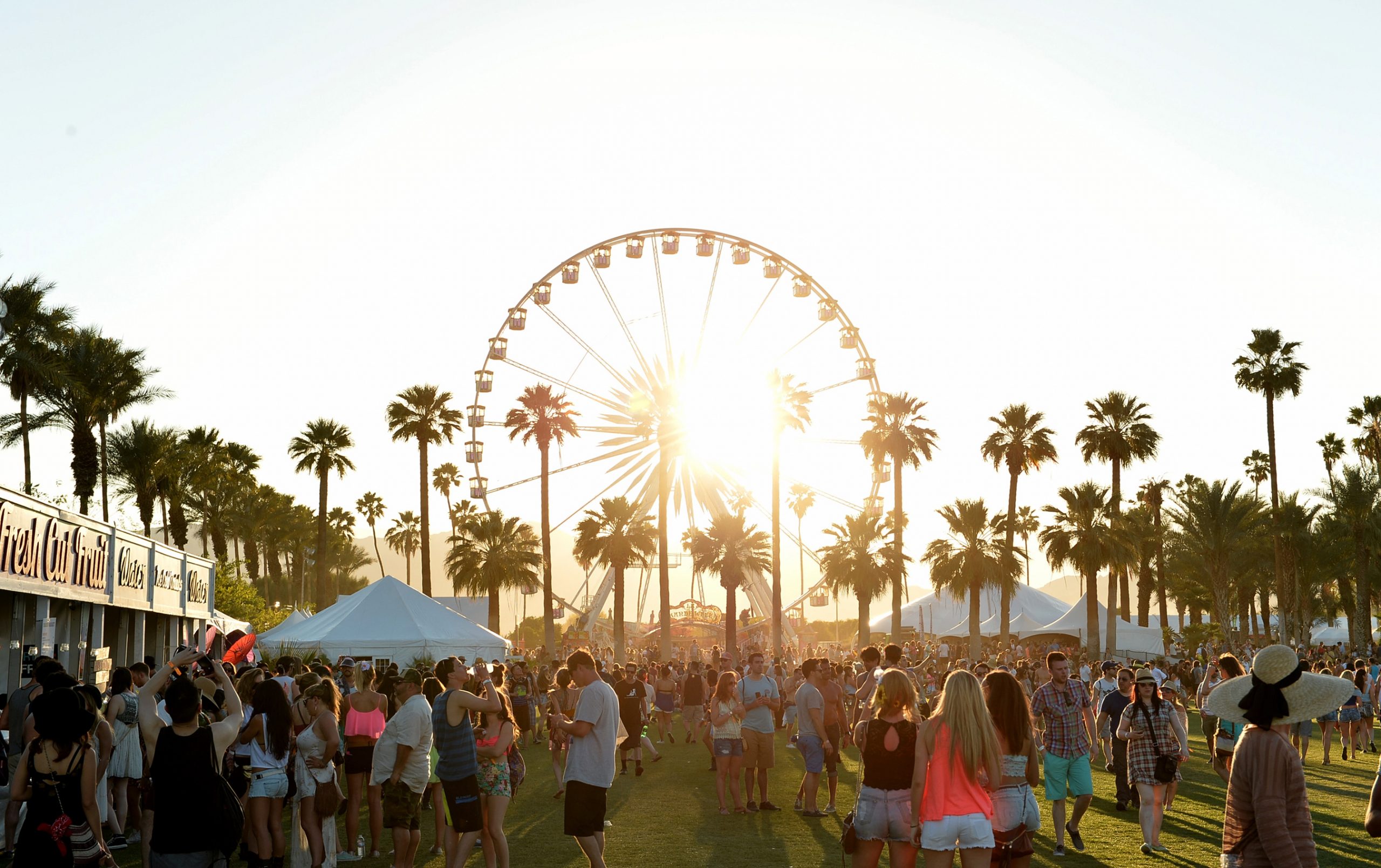 Coachella Festival