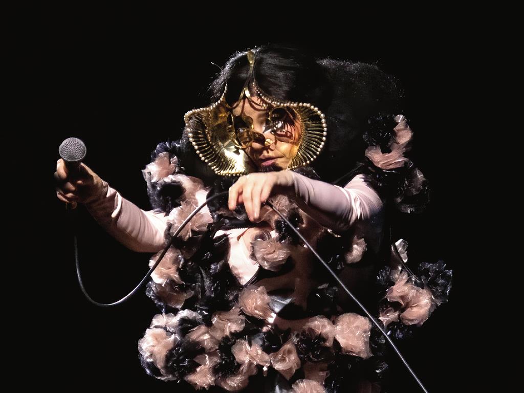 Bjork