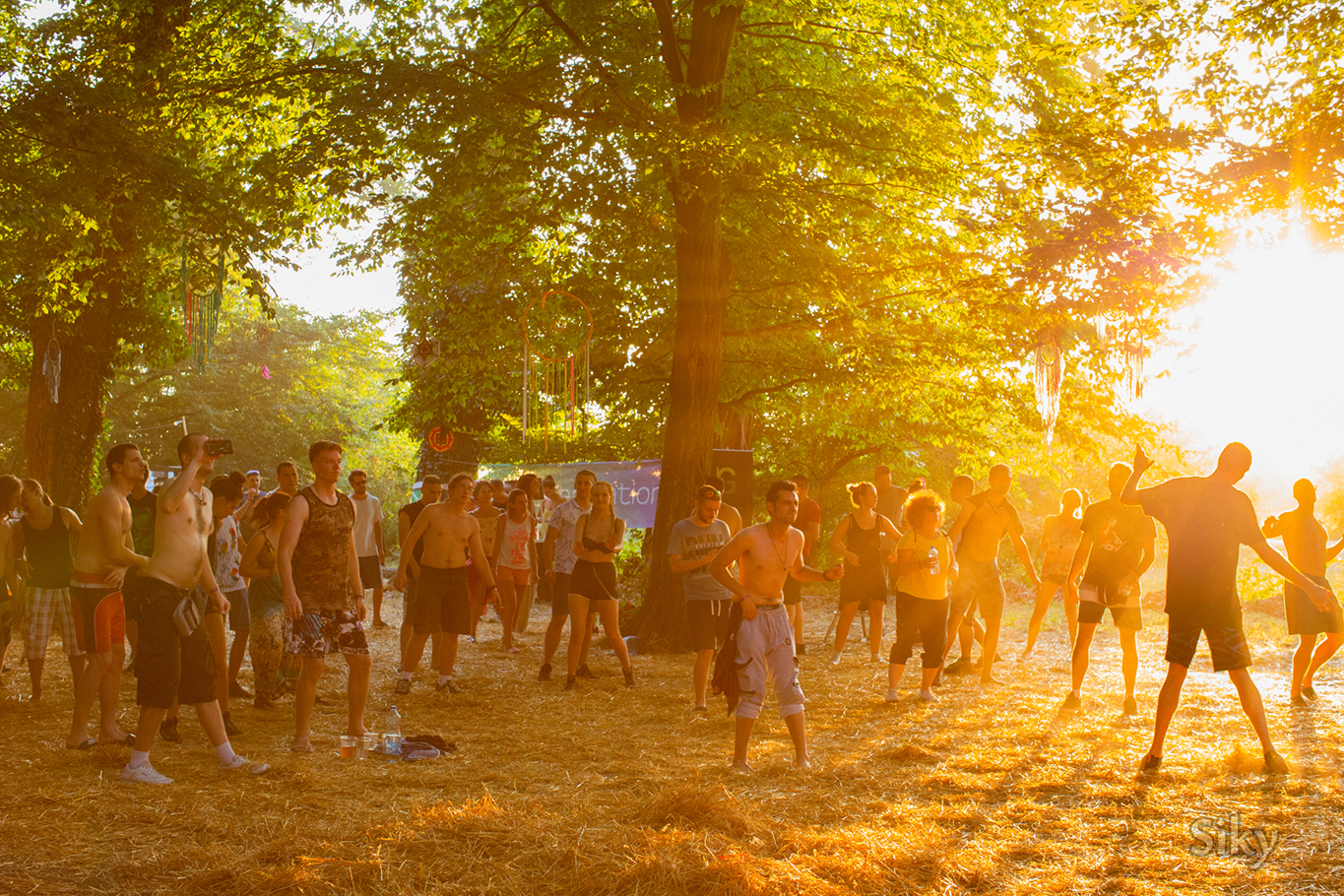 Way Of Life Festival 2020