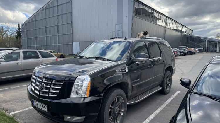 Cadillac Escalade preview
