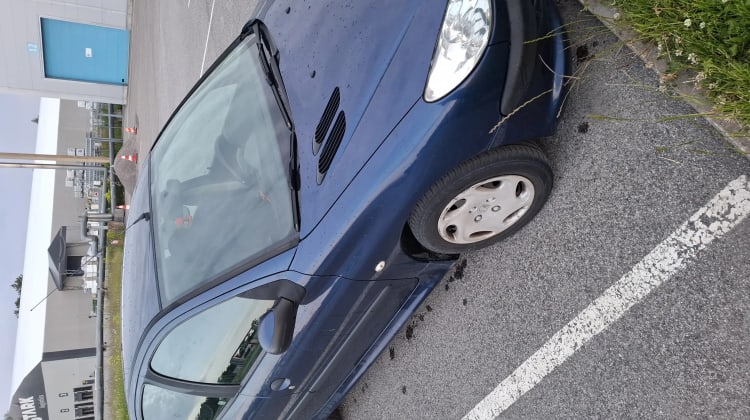Peugeot 206 preview