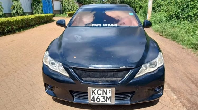 Toyota Mark X