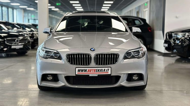BMW 530 preview