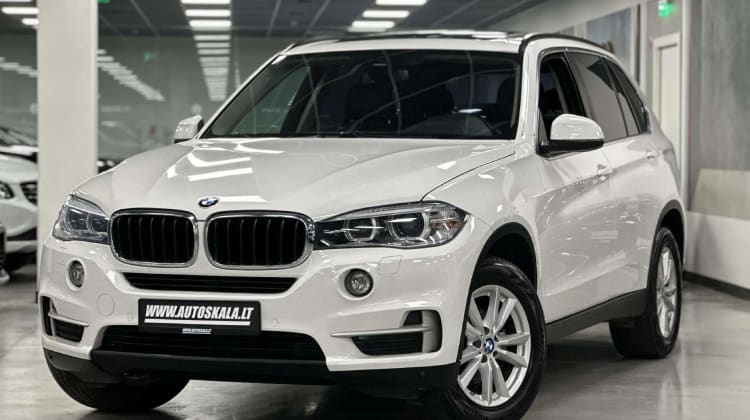 BMW X5 preview