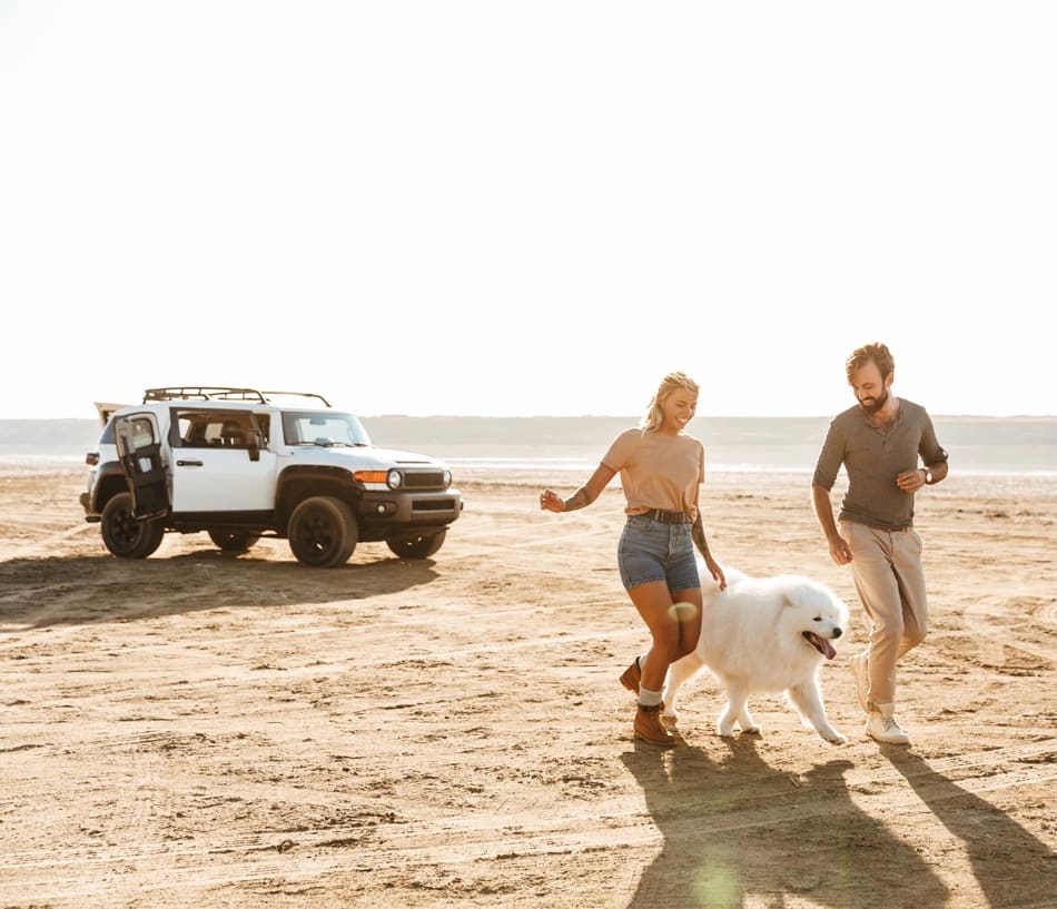 Odavad Kasutatud Autod J relmaksuga Autoportaal Www easycar ee