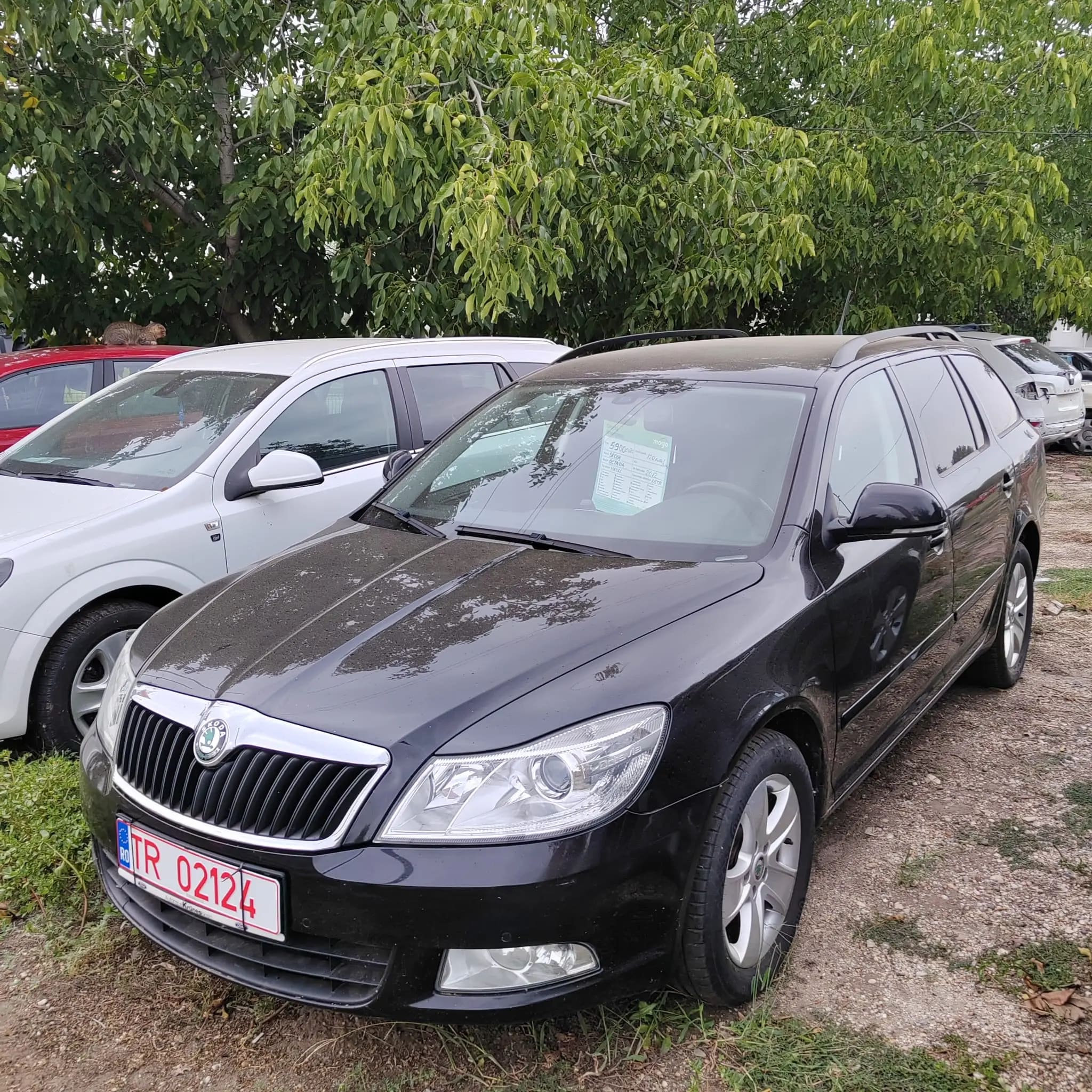 Skoda Octavia
