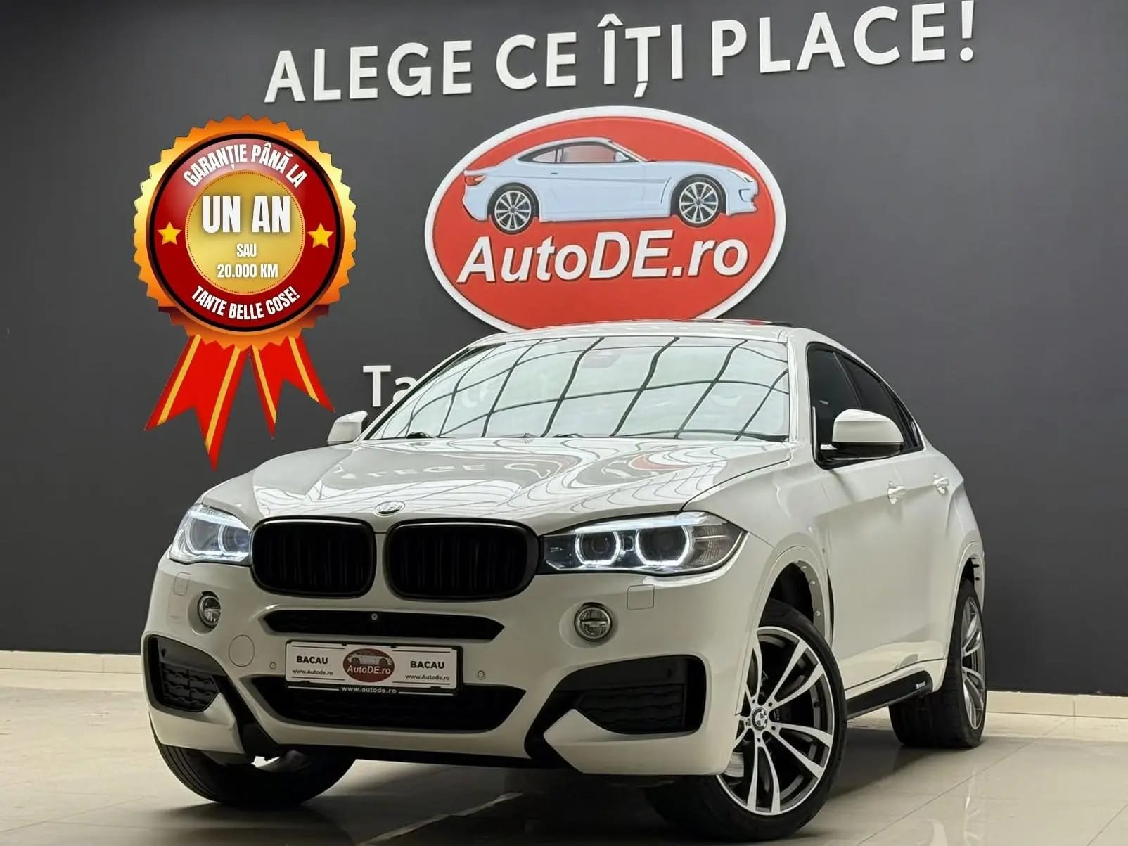 BMW X6