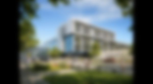 Immobilien Marketing