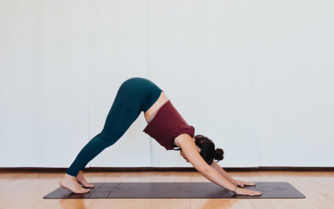 Adho Mukha Svanasana : La Posture du Chien Tête en Bas