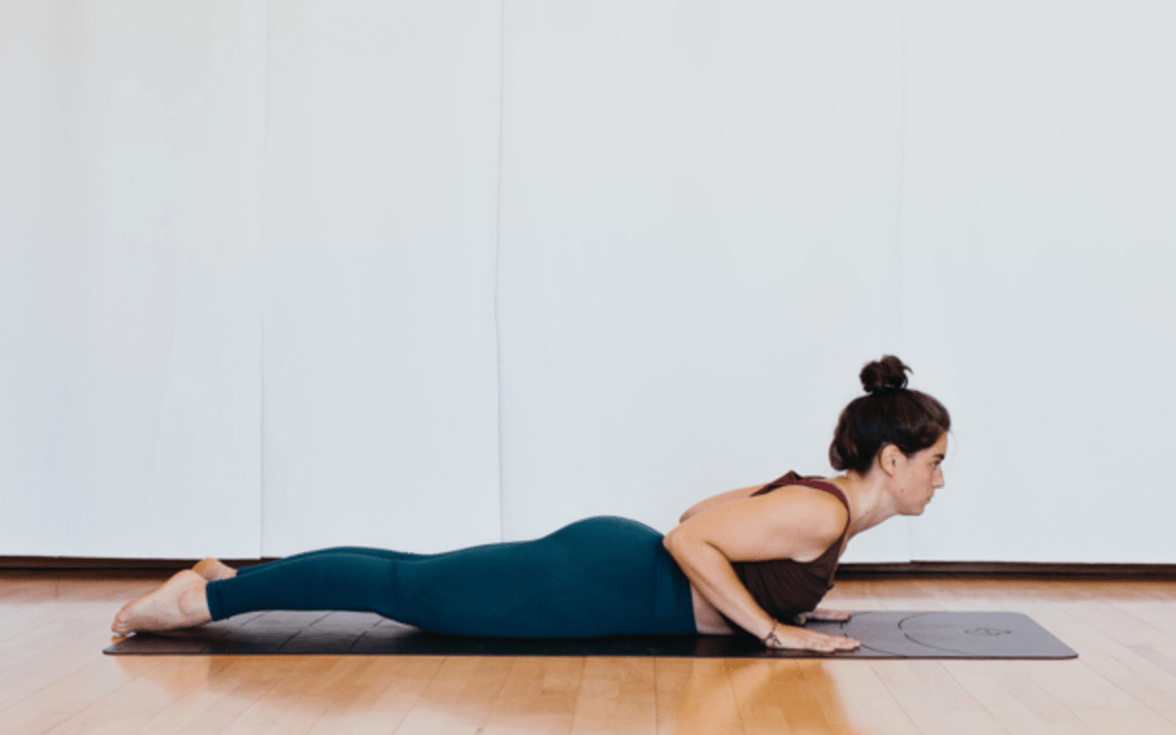Bhujangasana : la Posture du Cobra