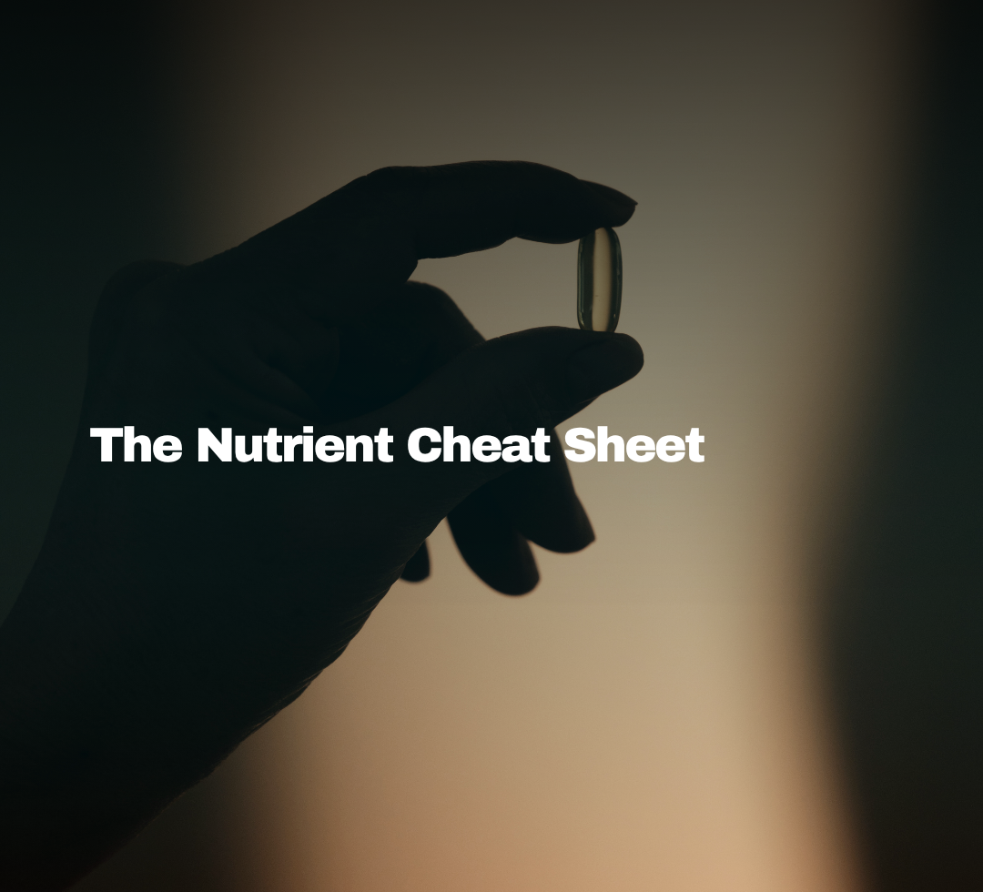 Elite Physique Coaching, The Nutrient Cheat Sheet, hand holding a supplement capsule against a warm sunset background