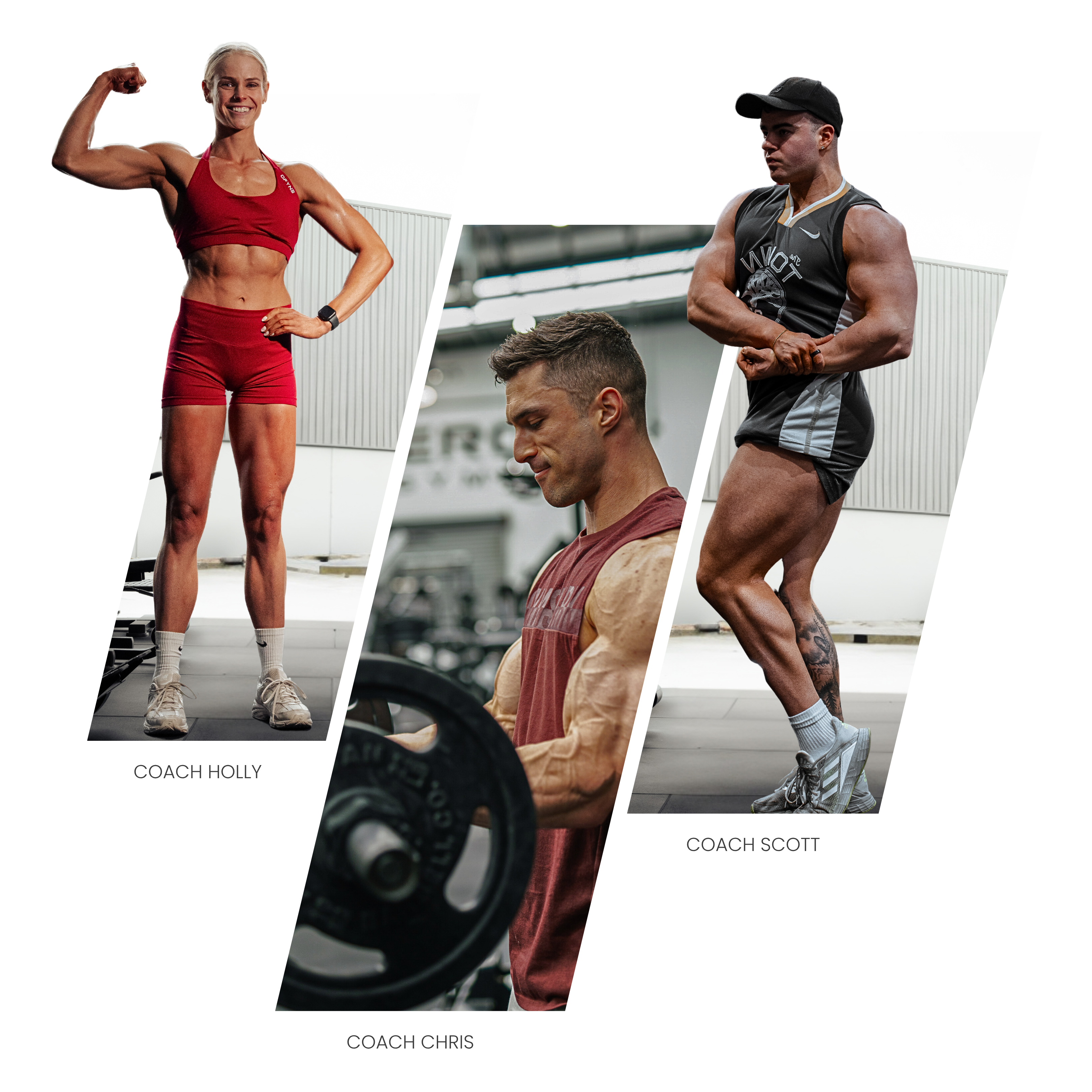 Elite Physique Coaching Competition Prep Coaches