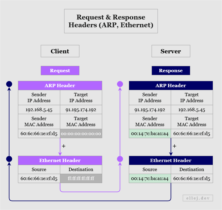 Request and Response Headers (ARP, Ethernet)