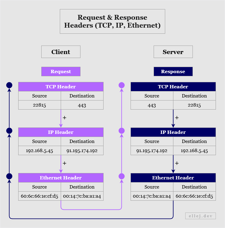 Request and Response Headers (TCP, IP, Ethernet)