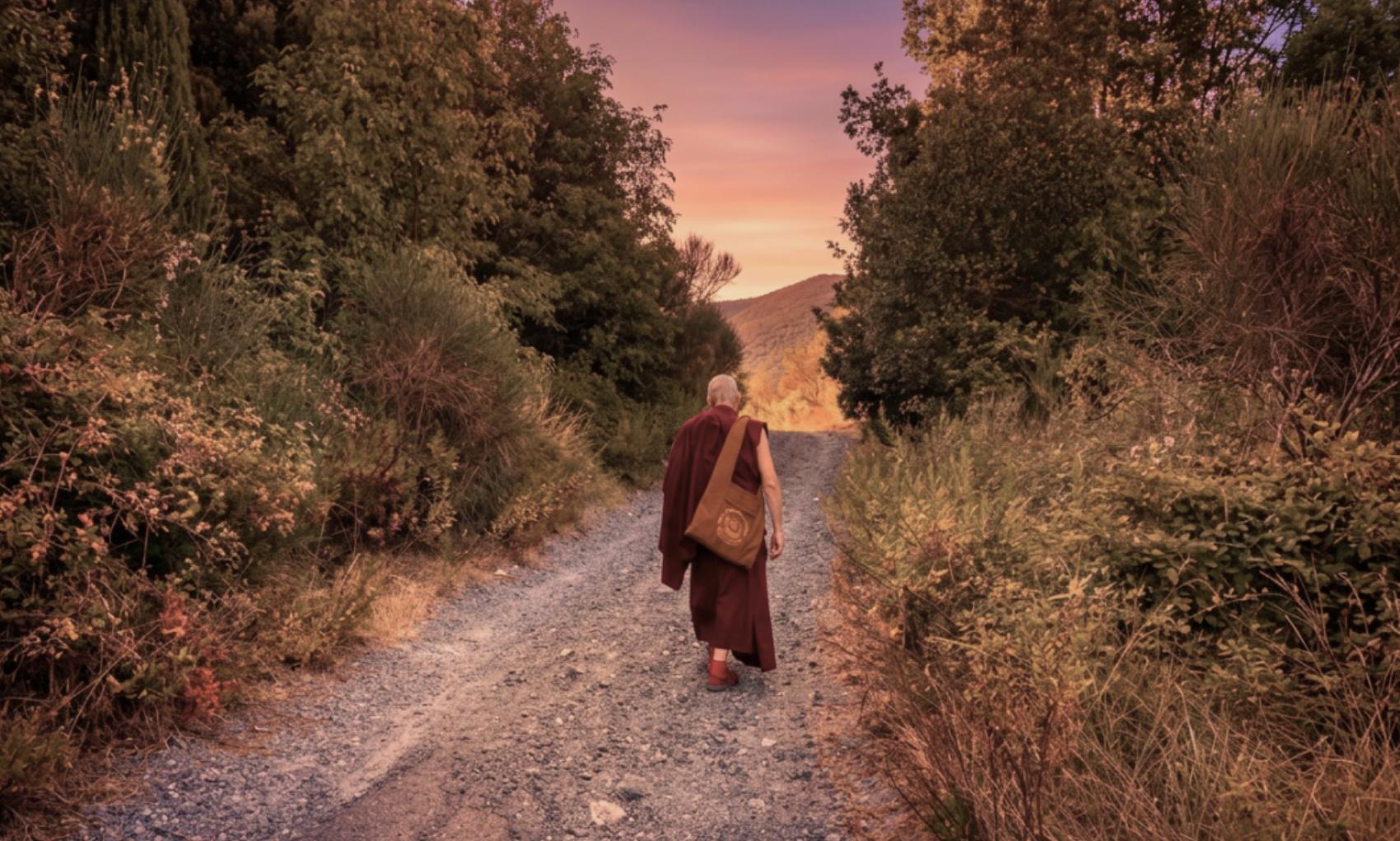 Cammino per la pace - trekking e meditazione nella natura
