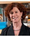 Karen Gelmon MD