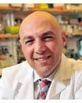 Ezra Cohen MD