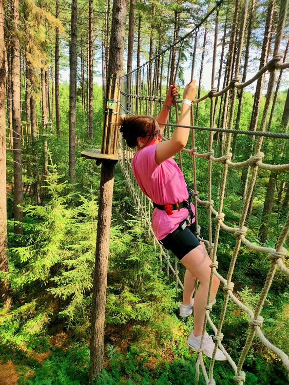 A woman climbing a rope ladder in the forest