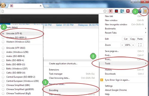 Instructions for setting UTF-8 (Unicode) in your Chrome browser