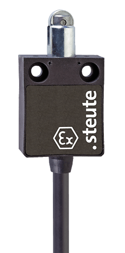 Ex 13 R 1Ö/1S 2m endebryter