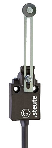 Ex 13 DS 1Ö/1S 10m endebryter