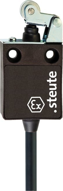 Ex 13 WH 1Ö/1S - 10m endebryter