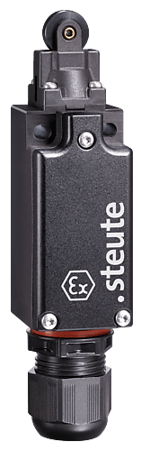 EX ES 97 RL-11 -60°C endebryter