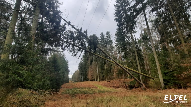 Emergency repair of the 110 kV overhead power line Goleniów - Moracz – eltelnetworks.pl