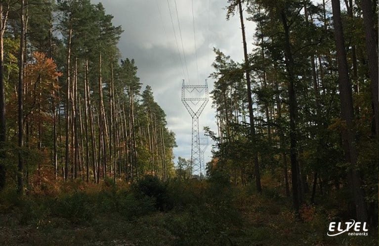 Running an overhead power line through woodland - eltelnetworks.pl