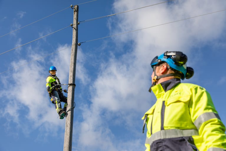 Construction and power projects - pole worker - Eltel Networks