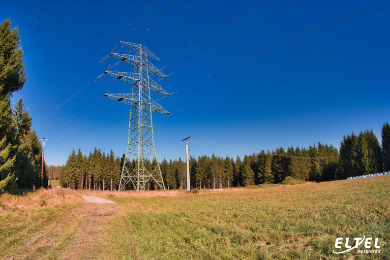 Cutting down trees under power lines | Eltel Networks