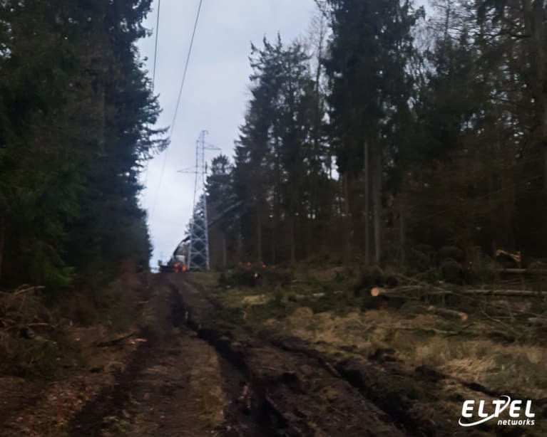 Restoration of power supply to the 110 kV overhead power line Goleniów - Moracz at an express pace, very fast, immediately – eltelnetworks.pl