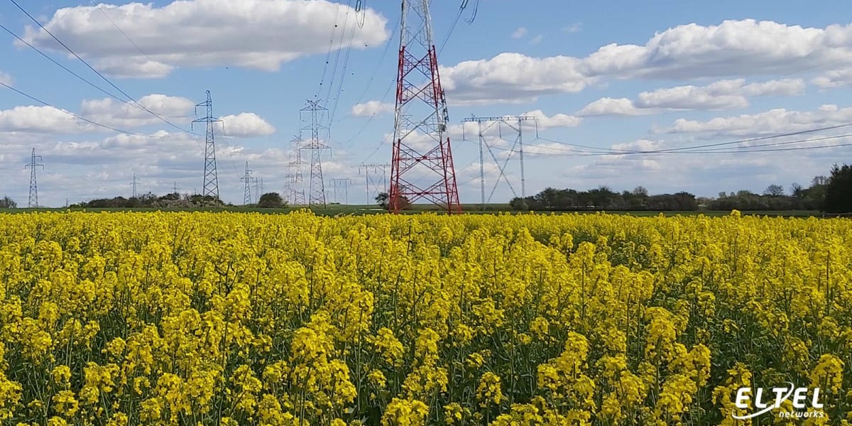 budowa-dwutorowej-linii-elektroenergetycznej-400-kv-czarna-pasikurowice