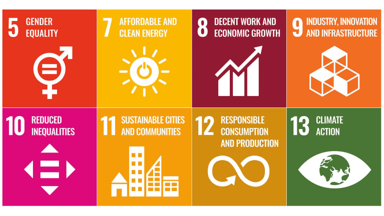 SDG icons