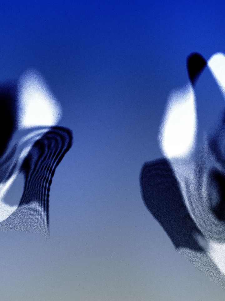 Naiadic Variations 2