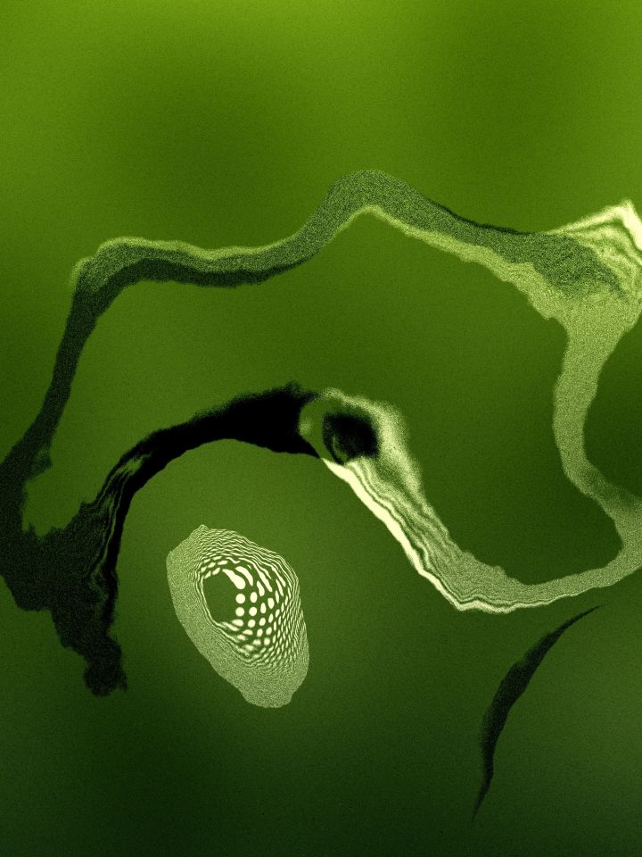 Naiadic Variations 26