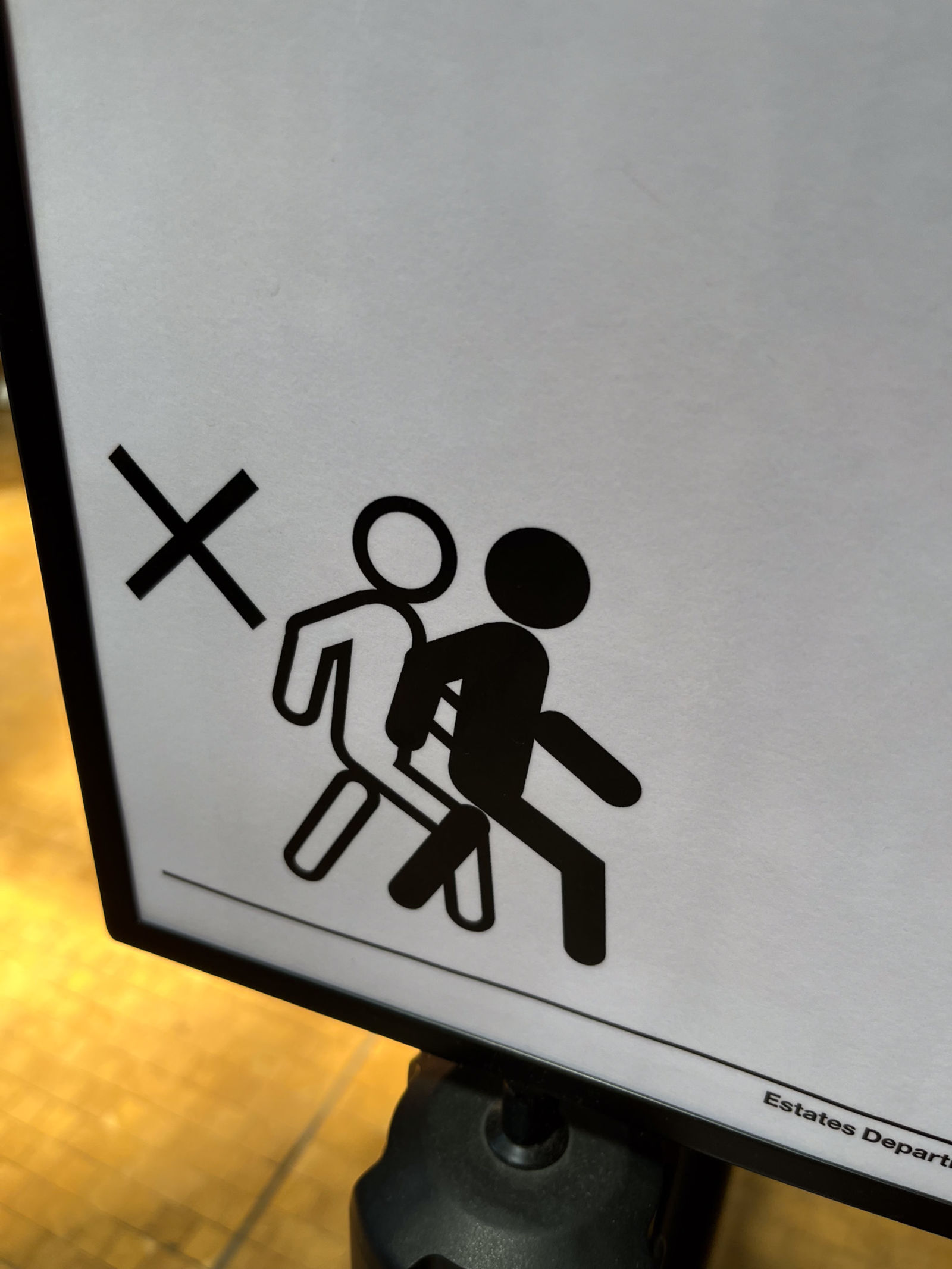 20230616__IMG_4522_hidish