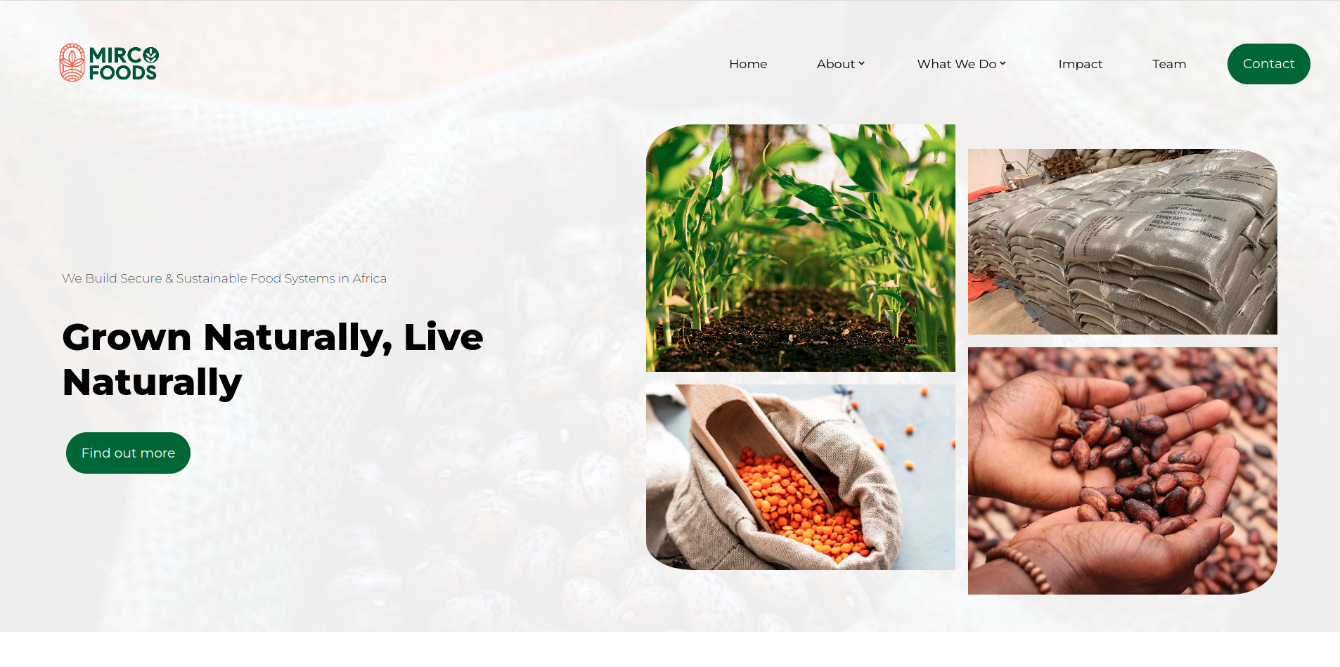 Emacon Production | Web Design & Development