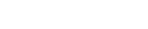 Southern Voice