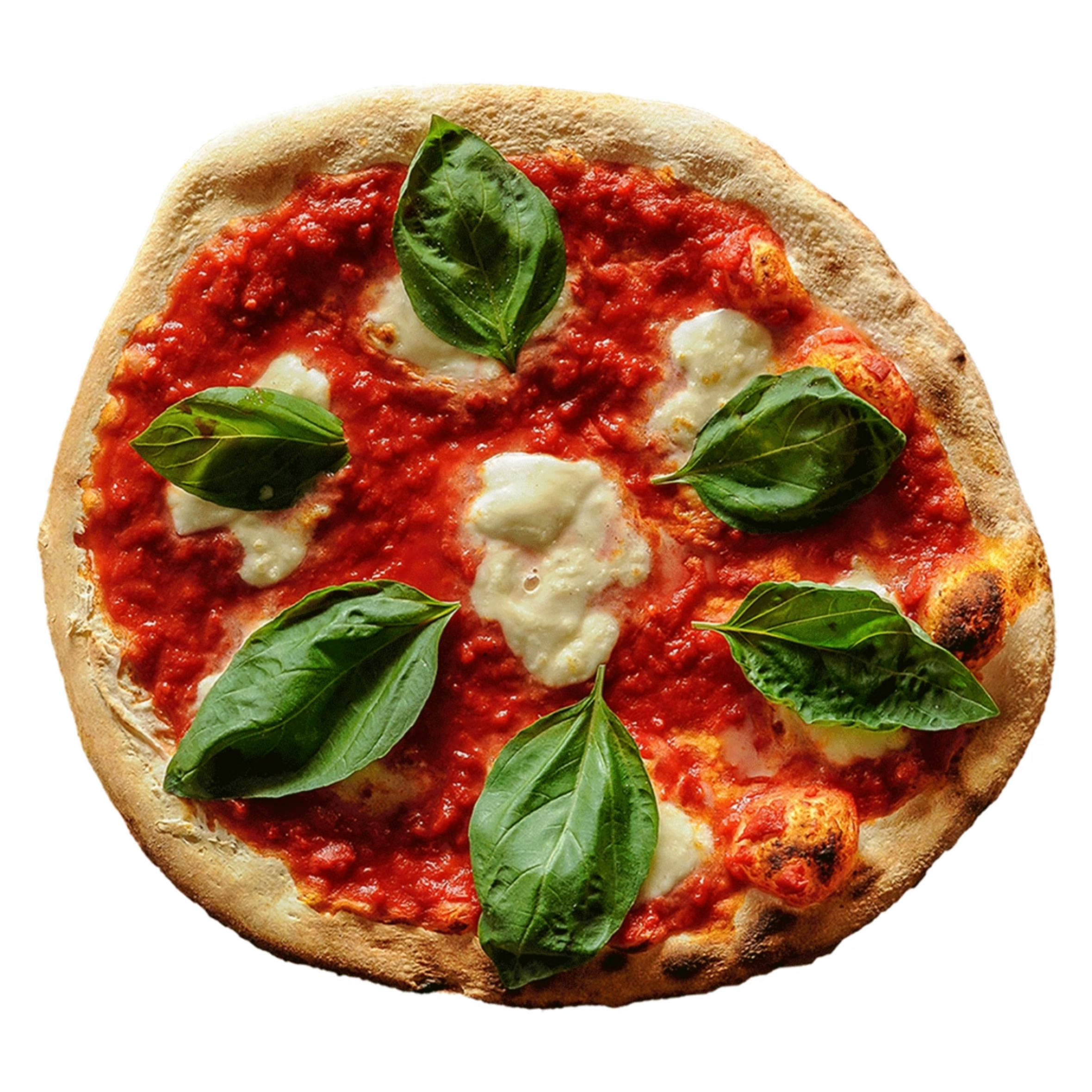 image of margherita