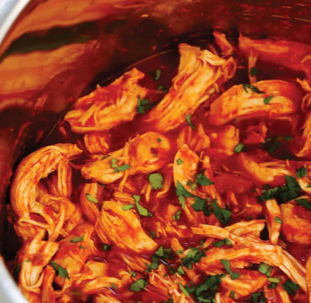 Pulled Chicken Plate