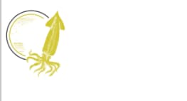 Umami background image