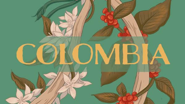Colombia - Tolima La Cumbre