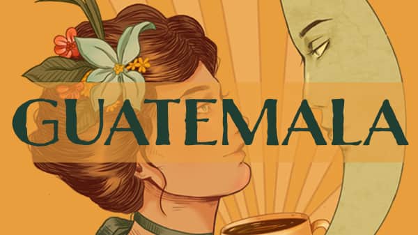 Guatamala - Flor De Maiz