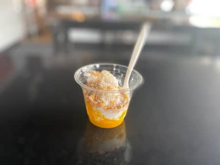 image of Coconut Mango Rice Pudding